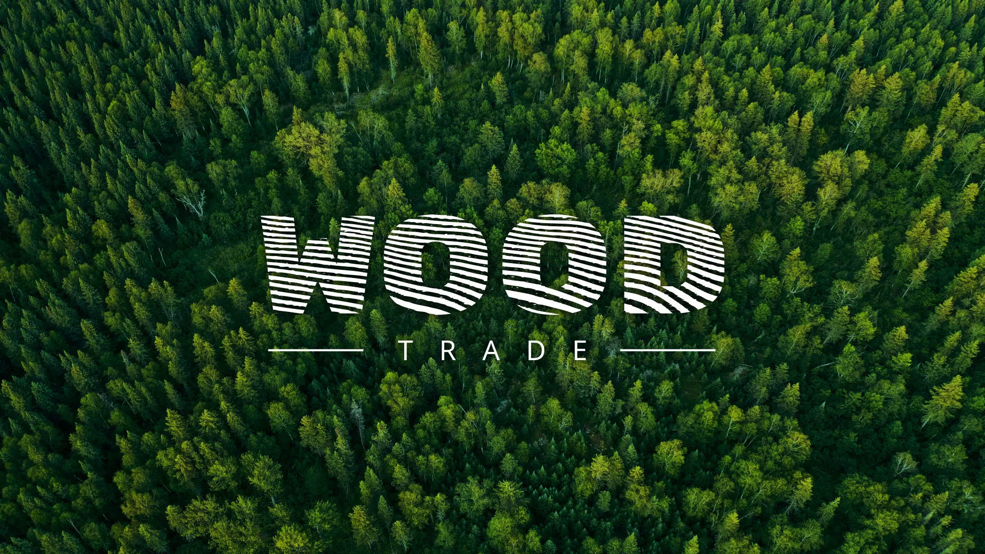 Разработка интернет-магазина компании «Wood Trade» в Брянске